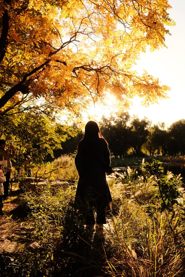 Paysage automnal coloré